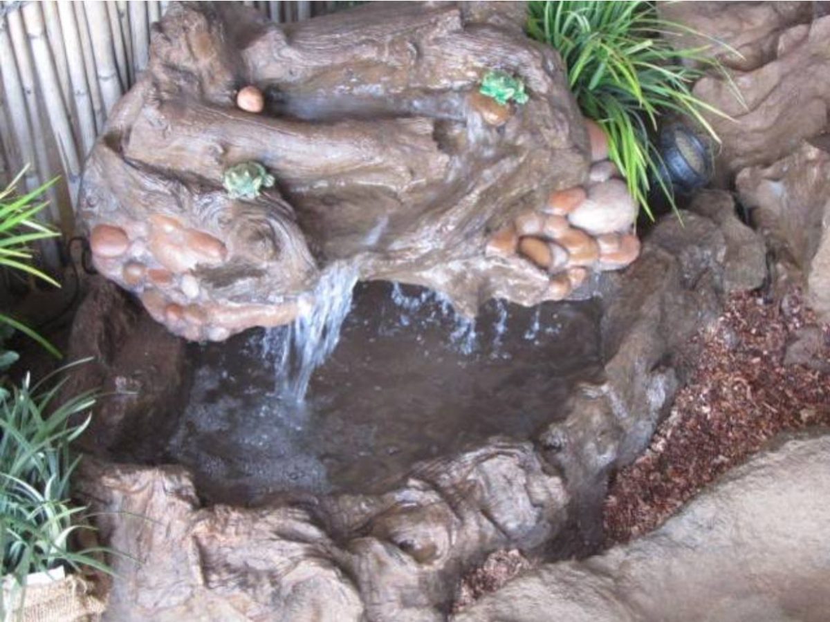 Forest Falls & Pond